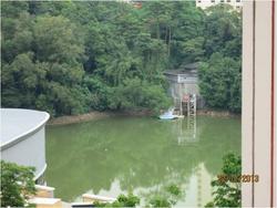 Blk 138 Petir Road (Bukit Panjang), HDB Executive #83662572